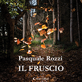 Pasquale Rozzi - Il fruscio