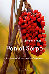 Silvano Loppoli - Pan di Serpe